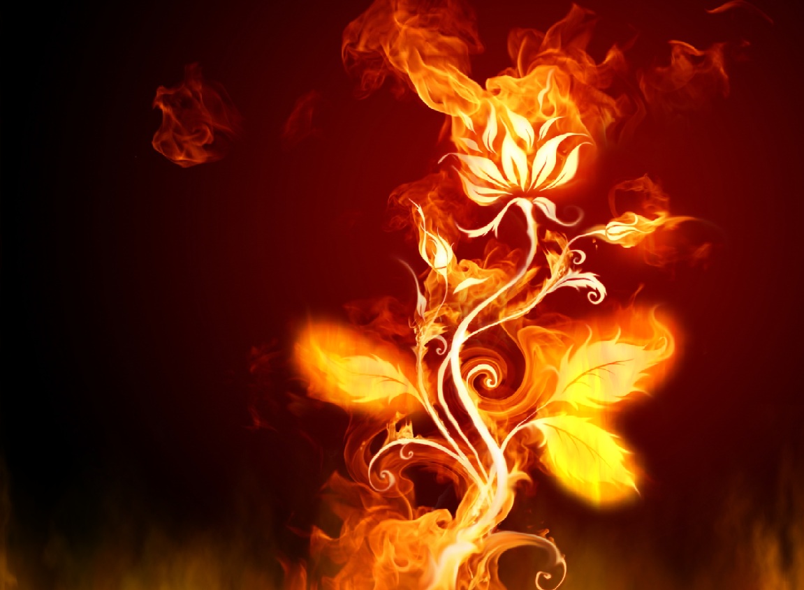 FireEverywhere