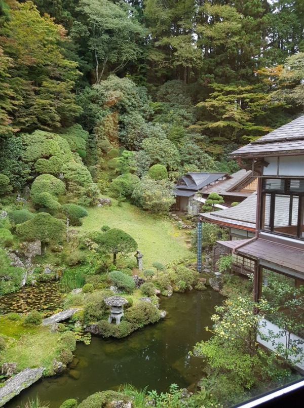 JoniWaka6