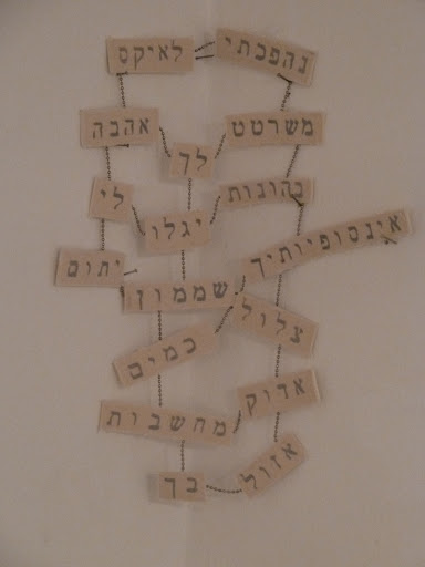 alex shnaider4