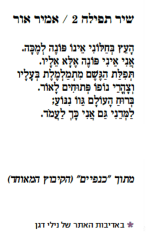 amir or israeldoday2