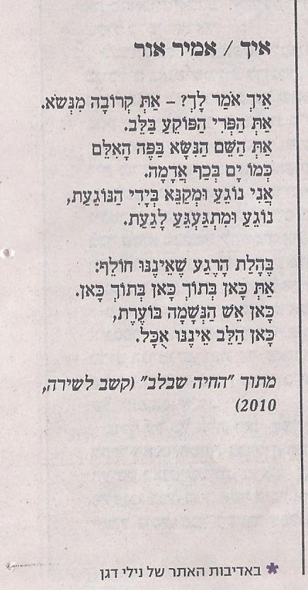 amir or israelhayom