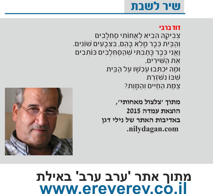 david barbi erev