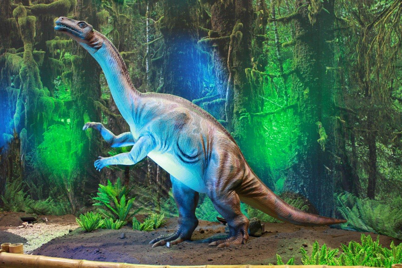 dino1