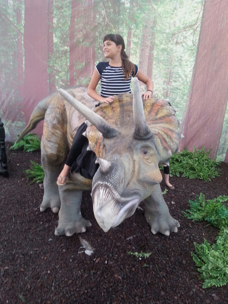 dino5