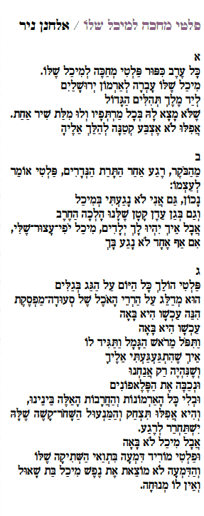 elchanan nir israeltoday