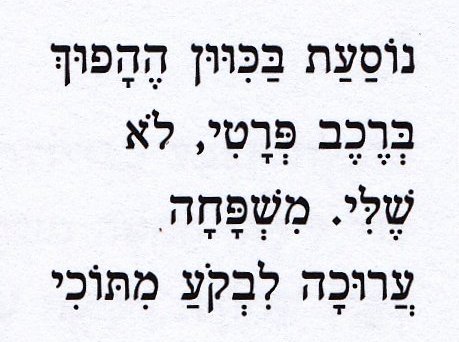 eli hirsh poem2