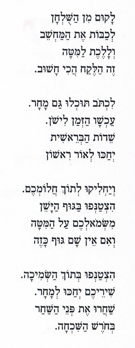 eli hirsh_sadna