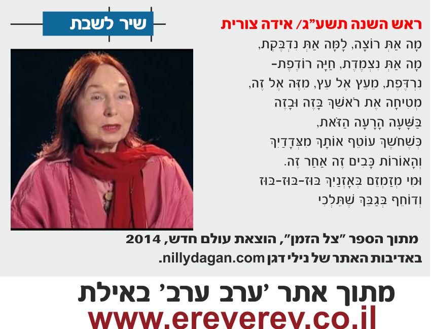 ida zurit ereverev