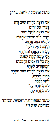 liat shorek israeltoday