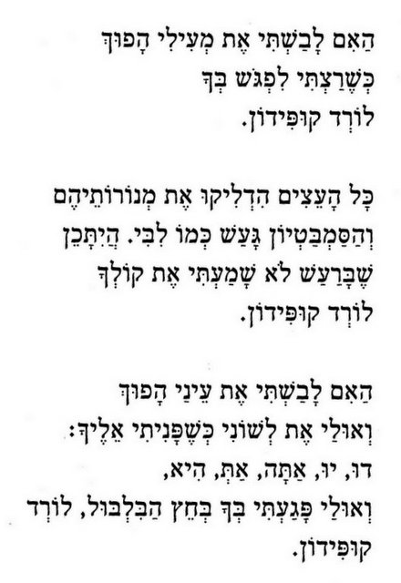 nurit zarchi hirsh