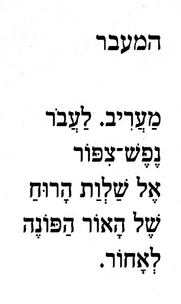 rivner hirsh
