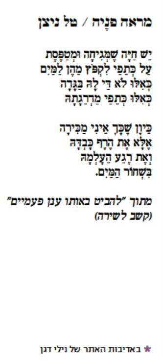 tal nizan israeltoday