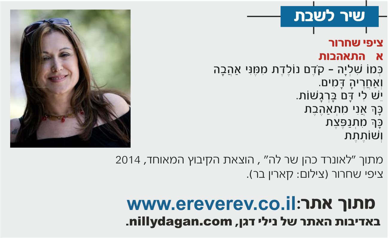 zipi shachrur ereverev