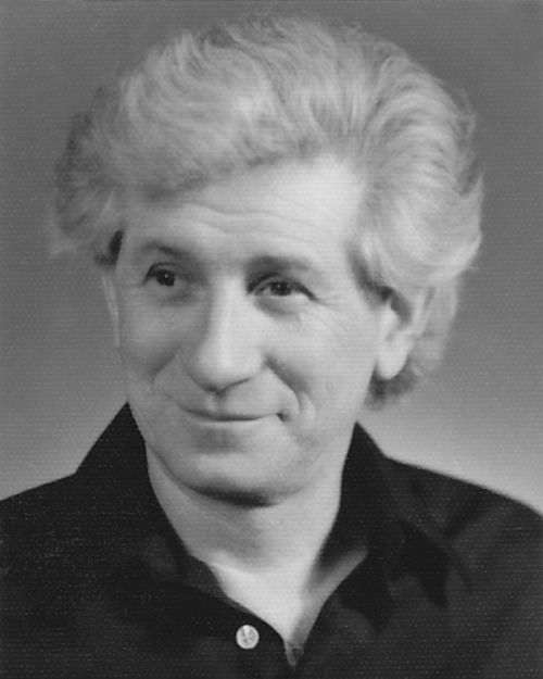 zvi aviel