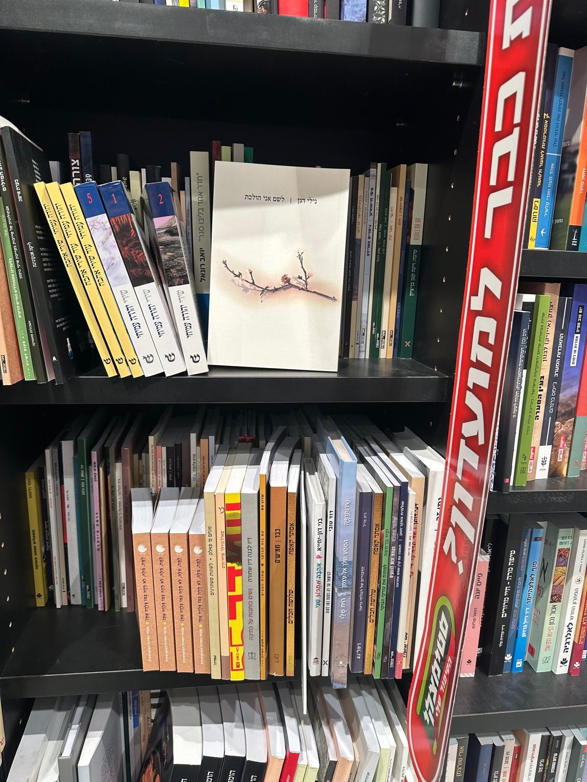 הספר לשם אני הולכת בסטימצקי